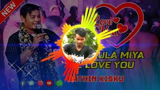 New Santali Dj Song 2024 Santali Dj Song Ruthin Kisku [upl. by Rubina]