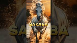 Horse name of prophet Muhammad SAWislmicvideo shortfeed top [upl. by Anida]