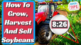 Farming Simulator 22  Soybeans Complete Guide  How To Grow Harvest And Sell Soybeans [upl. by Rattan]