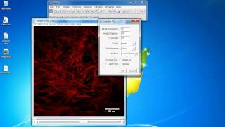 ImageJ Tutorial How to add scale bar [upl. by Areic]