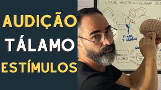 PROCESSAMENTO AUDITIVO CONSCIENTE PAPEL DO TÁLAMO E CÓRTEX AUDITIVO [upl. by Nosnibor]