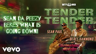 Sean Paul Beres Hammond  Tender Tender  Official Lyric Video [upl. by Landing]