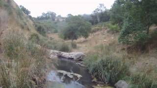 Gopro Small creek Trout on dry fly 0wt and 3wt rods [upl. by Anneliese371]