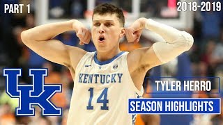 Tyler Herro Kentucky Freshmen Regular Season Highlights Montage 201819 [upl. by Airdni]