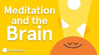 Meditations Impact on the Brain  Expert Videos [upl. by Iadrahc]