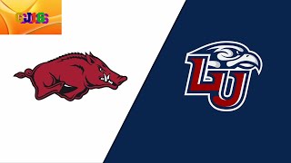 Arkansas vs Liberty Football 2022 [upl. by Newnorb]