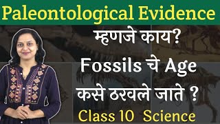 Paleontological Evidences म्हणजे काय Class 10 Heredity and Evolution [upl. by Jehovah]