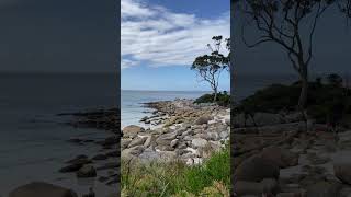 Binalong Bay Bay of Fires Tasmania Australia tasmania australia [upl. by Aihseken473]