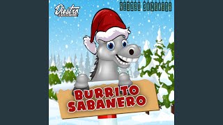 BURRITO SABANERO Perreo [upl. by Aihsotan]