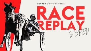 Mohawk Sbred November 9 2024 Race 4  Woodbine Horse Race Replay [upl. by Wallas]