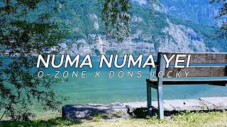 DJ NUMA NUMA YEI  OLD STYLE  Dons Jocky Remix [upl. by Okuy]