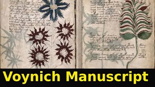 Discoveries Within the Voynich Manuscript [upl. by Ylrae]