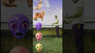 Alian head to dog cat monkey rat amp rabbit cute animals funny video shortsfeed funny vfxshorts [upl. by Sidell]