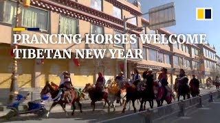 Tibetans celebrate Chinese New Year with horse parade [upl. by Fradin927]