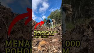 VIRAL  PRIA MENANAM KEMBALI HUTAN YANG RUSAK shortvideo shorts [upl. by Natala]