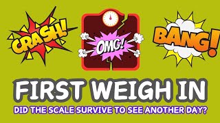 FIRST WEIGH IN on Slimming World  Slimmingworld weighinday weightloss [upl. by Oisorbma]