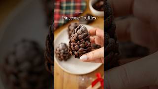 Pinecone Truffles🎄 recipe easyrecipe food pinecone truffle [upl. by Elime721]