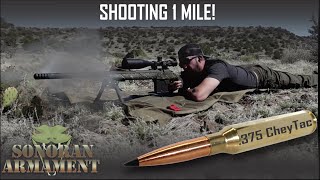 Is this the best long range rifle 1 Mile Shot [upl. by Refynnej218]