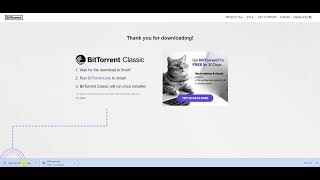 Why does BitTorrent or other Torrent NOT install on Windows 2022 Quick Fix in Allowing the exe [upl. by Elletnuahs694]