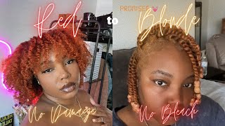 Red to Blonde  Natural Hair  No Bleach Color Oops [upl. by Ivz]