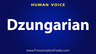 How To Pronounce Dzungarian [upl. by Anirtac]