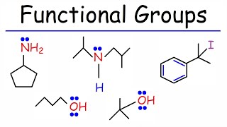 Functional Groups  Primary Secondary Tertiary  Alcohols Amines amp Alkyl Halides [upl. by Marice120]