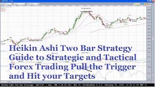 Heikin Ashi Two Bar Strategy Guide to Strategic [upl. by Anohsal]