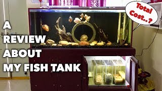 A Review About My Fish Tank Full setup  Tamil [upl. by Anelad600]