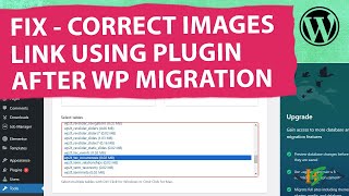 How to Fix Image Links after a Migration using Plugin in WordPress [upl. by Foss135]