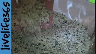 Why Eat Hemp Seeds [upl. by Tom144]