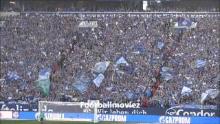 FC Schalke 04  TSG 1899 Hoffenheim 40 08032014 [upl. by Clio]