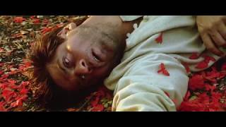 Devdas DIED without Meeting Paro  Aishwarya Rai Bachchan Shahrukh Khan  Devdas Movie Scene [upl. by Joao279]