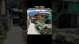 Pulga village himachal pradesh [upl. by Crowns]