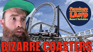 Is this the STRANGEST coaster lineup  Flamingo Land Vlog Jul 2024 [upl. by Habas814]