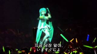 하츠네 미쿠 콘서트 [upl. by Walley]