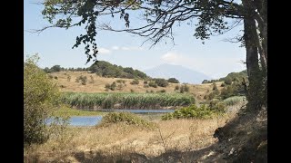 Parco dei NEBRODI Sicilia [upl. by Retrop887]