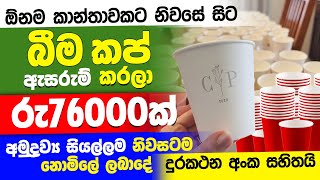 ස්වයං රැකියා  swayan rakiya at home 2024  swayan rakiya at home  swayan rakiya [upl. by Ihtak825]