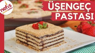 ÜŞENGEÇ PASTASI 👌🏻😉 Modası Geçmeyen En Kolay Pasta Tarifi 💯 [upl. by Kenison]