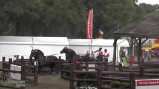 Benjamin AILLAUD Fra Marathon FEI WDFC BREDA 2016 [upl. by Aisak]