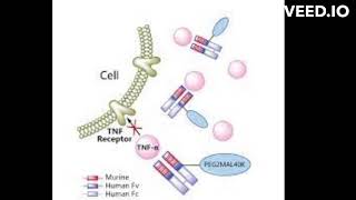 Certolizumab pegol mode of action [upl. by Arhas]