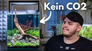 Aquascaping Tutorial 30L Dennerle Nano Cube einrichten [upl. by Nemhauser255]