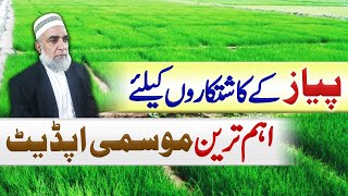 Weather Alert for Onion growers of Sindh  Crop Reformer [upl. by Reave]