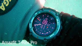 Amazfit TRex Pro Diving Tested to 20M depth Saltwater Diving [upl. by Krause689]