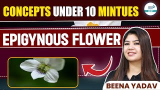 Previous NEET Questions on Epigynous Flower Explained  Quick Review  NEET 2025 [upl. by Idolem197]