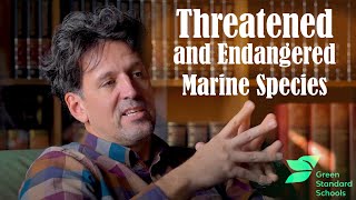 GSS Threatened and Endangered Marine Species [upl. by Betti672]