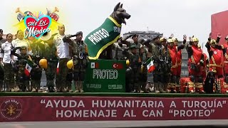 Desfile militar 2023 Recuerdan al perrito Proteo que murió en Turquía [upl. by Joyann]