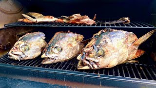 SMOKED TUNA HEADS CatchCleanCook on the Traeger Grill [upl. by Refitsirhc674]