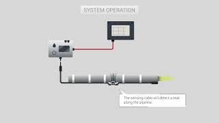 Chemical Leak Detection  How It Works [upl. by Ynatil]