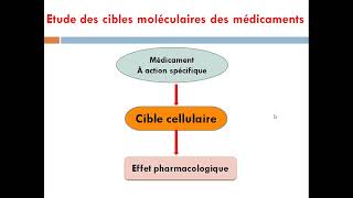 cour7 mécanisme daction des médicaments la pharmacodynamique [upl. by Cleodal]