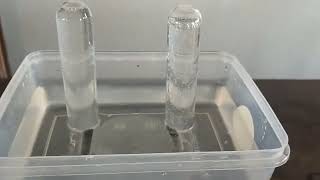 Electrolysis of acidified water [upl. by Nitsirt]